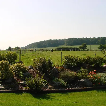 Bed & Breakfast Gineta
